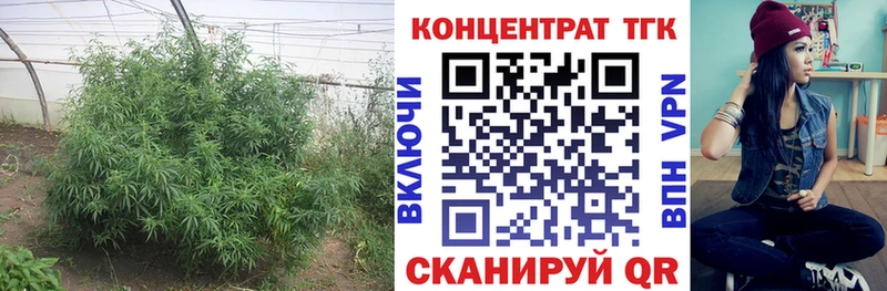 Дистиллят ТГК вейп с тгк MEGA ССЫЛКА Грайворон