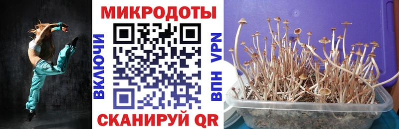 Галлюциногенные грибы Magic Shrooms  Грайворон 